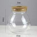 Transparent hydroponic glass vase with cork lid, 14cm height, clear mini ecosystem jar - Medium Dense Ball (13*14cm)