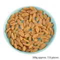 Modello di uva passa dorata artificiale in PVC da 500g su un piatto di porcellana azzurra - Uva Passa Artificiale (1g)