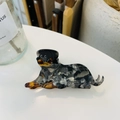 Cute Rottweiler dog hair claw clip with tortoise texture finish for women - Rottweiler Claw Clip