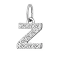 Stainless steel alphabet Z pendant with sparkling zircon in a silver finish - Letter Z(ZP39269) / Steel