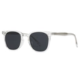 Classic round polarized sunglasses with transparent acetate frames and dark black lenses - Transparent Black Gray