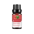 Watermelon pure essential oil 10ml in brown glass bottle with leak-proof black cap - Watermelon Aromatherapy