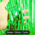 Tenda a frange verde brillante 1x2m per decorazioni di compleanno e feste natalizie - Verde