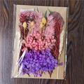 DIY dried flower craft kit featuring purple and pink hydrangea and baby breath - Flower Pack No.29
