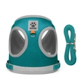 Teal mesh cat harness and leash set with reflective trim and Duomm brand logo - XS / 3rd Gen Upgrade Lake Blue