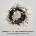 Warm white 6m LED string lights with 200 beads on black wire for holiday decoration - 6m 200LED (Requires Plug) / Black Wire Warm White (Connector)