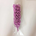 Magenta glitter berry bundle in plastic packaging for festive Christmas decoration - Purple