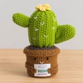 Handmade knitted cactus doll in brown pot with Life Can Be Prickly Bloom Anyway card - Large Pot - Cactus