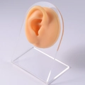 Silicone ear model on clear acrylic stand for piercing jewelry display in flesh tone - Right Ear