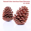 Piña natural americana marrón de 12-15 cm para decoración de árbol de Navidad - Piña Americana Natural Grande 12-15CM