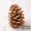 Pigna naturale decorativa in finitura oro per decoro natalizio, misura 10-12 cm - 10-12cm / Oro Verniciato (Pino Americano)