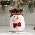 Christmas snowman plush gift bag in green hat style, 18x16cm holiday candy pouch - Green Snowman Style