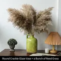 Grasgrünes Keramikvasen-Set mit Eis-Riss-Glasur und flauschigen Schilfrohrpflanzen - Runde Craquelé-Vase mit Schilf-Set