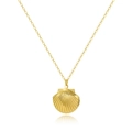 Polished gold scallop shell locket necklace with cross chain on a white reflective surface - Gold