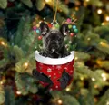 Weihnachtliche rote Strick-Socke als Anhänger mit einer schwarzen Bulldogge und Rentiergeweih - Schwarze Französische Bulldogge