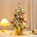 50cm mini Christmas tree with LED lights, pine cones and berries in burlap base - SYT306