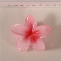 8cm Foundation Bright Red Standard