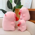 Pink (Watermelon Style) 30 cm