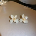 Macro shot of silver flower earrings with gradient crystals on a beige surface - Champagne