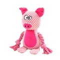 Pink plush pig pet toy with textured corn velvet body and durable cotton rope limbs - Pig
