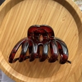 Pinza per capelli a zucca ambra traslucida in PC spesso per acconciature eleganti - Tartarugato Rosso Caffè Lucido