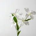 5-Head Flame Orchid White