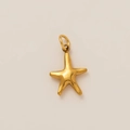 Gros plan du pendentif étoile de mer plaqué or 18K avec texture métallique polie - Pendentif Étoile de Mer