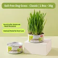 Hydroponic cat grass growing kit with vermiculite medium for hairball relief - Dog Wheatgrass / 30g/Can