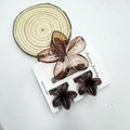 Translucent amber plumeria hair claw set with one large and two small floral clips - Transparent Coffee Set (with Card)