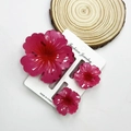 Three-piece rose pink floral hair claw clips made of translucent resin material - Cabbage-shaped Deep Watermelon Red Set (with Card)