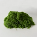 Light Green Moss Silk 500g