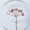 Handmade rose quartz and strawberry crystal money tree branch in a glass bowl - 15CM / Strawberry Quartz