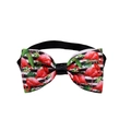 Detail of pet bowtie featuring flamingo print and black-white stripes with adjustable strap - Black Stripe Flamingo