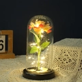 Preserved yellow rose in a glass dome with LED warm lights on a black base - Acrylic Dome + Plastic Base / Champagne Rose