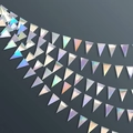 Ghirlanda di bandierine triangolari iridescenti con riflessi arcobaleno per decorazioni - Bandierine Triangolari Iridescenti da 3m