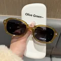 Detail der olivgrünen TR-90 Klapprahmen und dunkelgrauen polarisierten Gläser der Sonnenbrille - Olivgrüner Rahmen polarisiert mit Silikon-Nasenpads