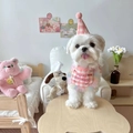 Detailed view of pink checkerboard pet birthday bib with rainbow mesh trim and pompom hat - Pink Bib + Hat