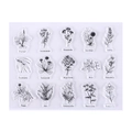 15-delige siliconen stempelset met vintage botanische planten voor DIY-kaarten - Nr. 2-Botanische illustratie