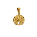 Golden sand dollar pendant in stainless steel with star pattern and 18K gold plating - Starfish / Gold