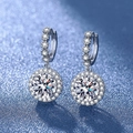 Elegant silver halo drop earrings with round cut center stone and pave accents - A Pair Of White Gold Leds - 159
