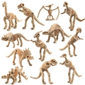 Set di 12 scheletri di dinosauro in PVC giocattolo per l'archeologia dei bambini - Stile 1 (TB001A)