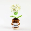 Handmade crochet white carnation flower pot doll with motivational message sign - Carnation Potted White (No Base)