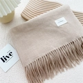 Detail of light camel knit scarf featuring a minimalist woven label and long soft tassels - Beige