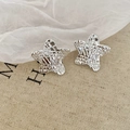 Macro detail of silver star stud earrings showing irregular textured metal surface - Grid Star Style (HE27805) / Silver