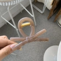 Dettaglio di un fermaglio per capelli a fiocco marrone tè al latte con molla dorata - Marrone Trasparente