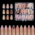 Unghie finte french nei toni nude e marroni con pratica scatola di plastica - Stile Francese 02