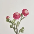 Faux Ranunculus in soft pink with two blooming flowers and one delicate bud - Rose Red