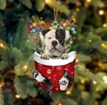 Bulldogge im Weihnachtssocken-Anhänger mit Rentiergeweih und bunter Lichterkette Deko - Gefleckte Französische Bulldogge