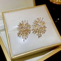 Makroaufnahme von goldene Feuerwerk Ohrringe mit Zirkonia in einer edlen Schmuckschatulle - Gold (Silbernadel - Feuerwerk)