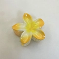 Elegant plumeria hair claw clip with yellow and white gradient petals for women - Bauhinia Hair Claw / Pack of 12 (8x7x4.3cm) / Yellow